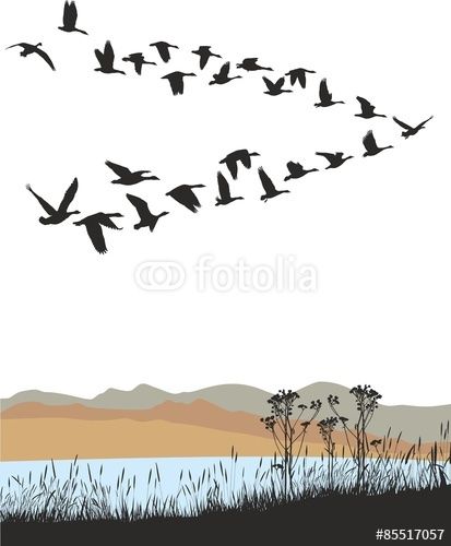 Wild Geese, Clay Birds, Bird Migration, Flock Of Birds, Bird Wings, Art Folder, Art Deco Posters, Animal Embroidery, Flying Geese