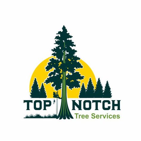 Tree services Logo Design required #AD, #services, #AD, #Tree, #Logo, #required Tree Service Logo, Services Logo Design, Tree Removal Service, Tree Removal, Tree Logo, Tree Service, Service Logo, Tree Trimming, Tree Care