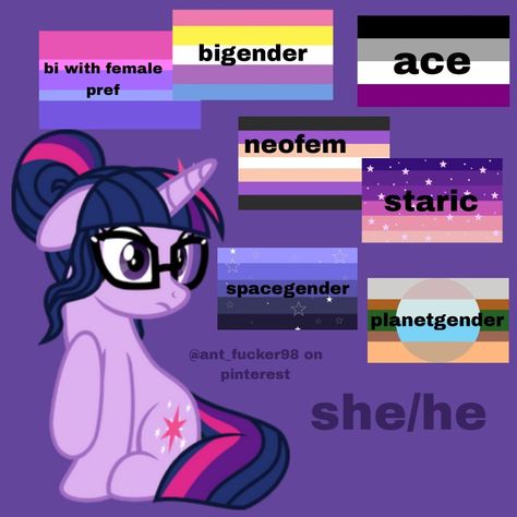 Mlp Pride Flags, Mlp Headcanons, Mlp Pfp, Dipper And Mabel, My Little Pony Characters, Mlp My Little Pony, Twilight Sparkle, Pride Flags, Splatoon