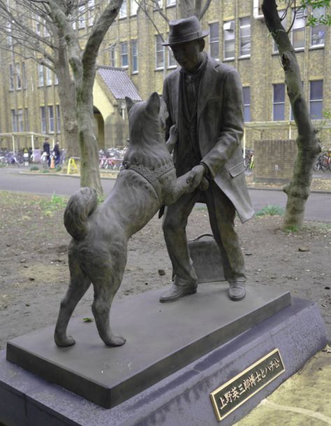 Reminder to have imagery including both humans and dogs (not just dogs) Hachiko Dog, Hachiko A Dog's Story, Hachi A Dogs Tale, Hachiko Statue, Shibuya Station, Shibuya Japan, University Of Tokyo, Agricultural Engineering, Japanese Akita