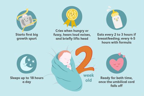 Your Guide to Your 2-Week-Old Baby's Milestones and Development — Parents How Much Formula, Newborn Development, Baby Development Milestones, Formula Fed Babies, 2 Month Old Baby, Kids Awards, Development Milestones, Breastfed Baby, Baby Crying