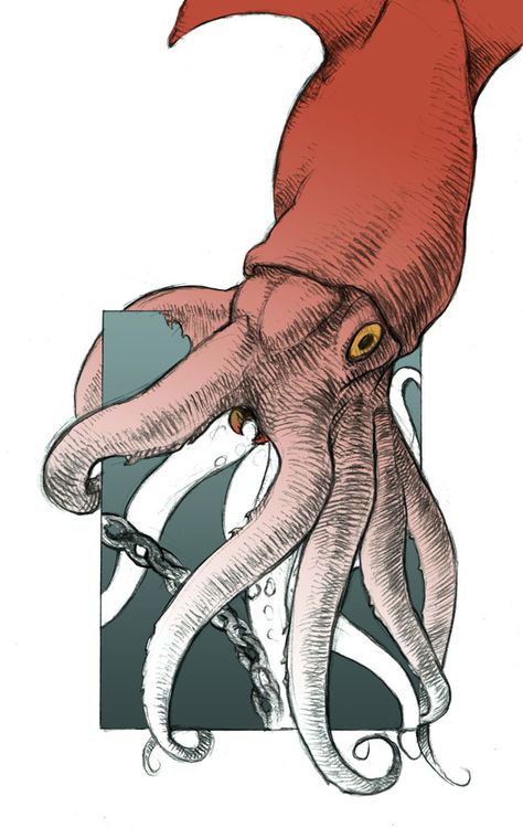 Squid Art Illustrations, Squid Wallpaper, Humboldt Squid, Squid Art, Squid Drawing, Avatar Tattoo, Giant Squid, Concept Art Tutorial, Ocean Aesthetic