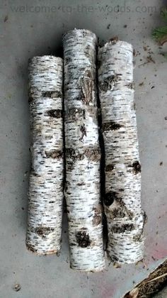 How to use REAL birch tree branches and bark in your Christmas decor Diy Aspen Tree Decor, Decorating With White Birch Branches, What To Do With Birch Logs, Aspen Decor Ideas, Birch Wood Decor Ideas, Birch Christmas Tree Decorating Ideas, Birch Wood Crafts Diy Projects, Diy Birch Logs, Faux Birch Logs Diy