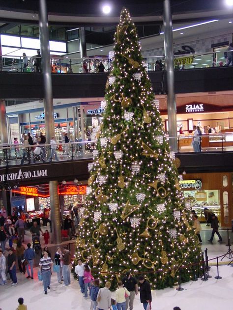 11 Of The Most Unusual Christmas Traditions In Minnesota Unique Christmas Traditions, Weird Christmas, Outside Christmas Decor, Pickle Ornament, Christmas Tress, Christmas Displays, Minnesota Travel, Mall Of America, At The Mall