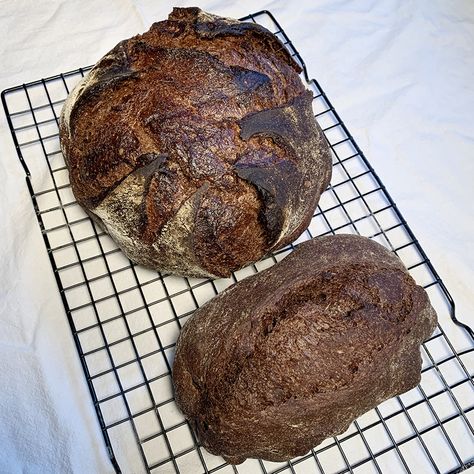 Pumpernickel Sourdough - Reader Recipes - Breadtopia Forum Sourdough Pumpernickel Bread Recipe, Pumpernickel Bread Recipe, Rye Flour, Baking Stone, Sourdough Bread Recipe, Sourdough Recipes, Sandwich Bread, Sourdough Starter, Dough Recipe