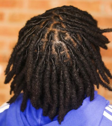 Different Types Of Dreads Men, Styles For Men’s Locs, Full Head Locs Men, Instant Locs Men, Dreds Locs Man, Starter Locs Men, Instant Locs, Black Male Locs, Men’s Long Loc Hairstyles