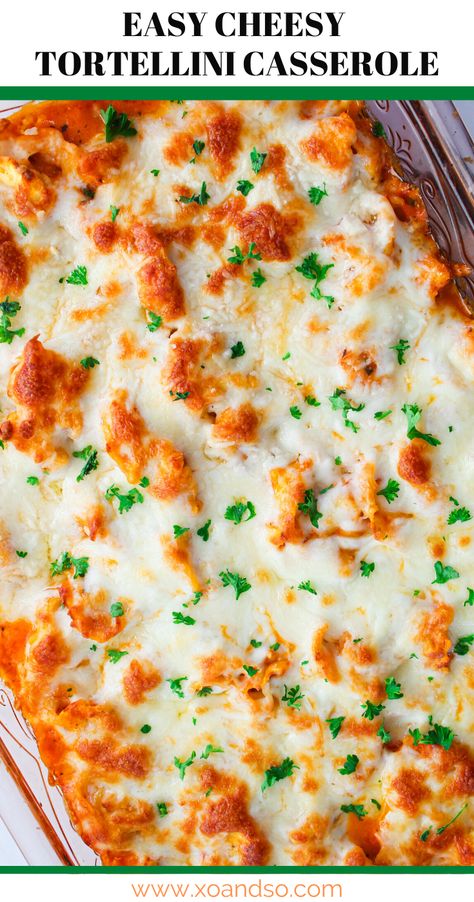 Easy Cheesy Tortellini, Cheesy Tortellini Bake, Easy Tortellini Recipes, Vegetarian Casserole Recipes, Cheese Tortellini Recipes, Cheesy Tortellini, Vegetarian Dinner Recipes, Tortellini Bake, Vegetarian Casserole