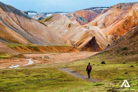 hiking a path in landmannalaugar Iceland Travel Guide, Painted Hills, Colorful Mountains, Beaux Villages, Iceland Travel, Day Hike, Reykjavik, Nature Reserve, Most Beautiful Places