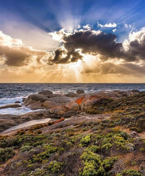 Flinders Island, Tasmania Flinders Island, Tasmania Road Trip, Landscape Images, Picnic Spot, Lake District, Tasmania, Geology, Bouldering, Beautiful Things