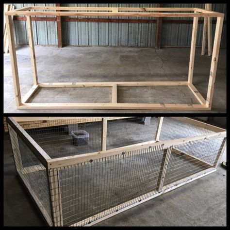 Silkie Breeding Pens, Breeding Chickens Pens, Breeding Pens For Chickens, Grow Out Pens For Chicks, Chicken Cage Ideas Design, Chicken Grow Out Pen, Chicken Breeding Pens Ideas, Chicken Breeding Pens, Poultry Breeding Pens