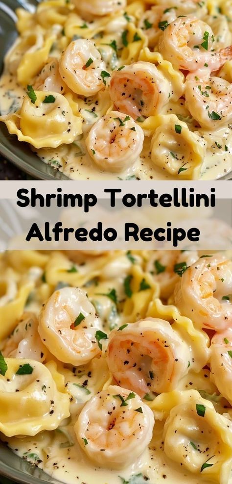 Want alfredo sauce recipes? Try our Shrimp Tortellini Alfredo Recipe. This shrimp alfredo pasta is perfect for dinner ideas and offers a delicious twist on traditional alfredo recipes. Cheese Tortellini With Shrimp, Cajun Shrimp Tortellini, Shrimp Tortellini Recipes Healthy, Creamy Shrimp Fettuccine Pasta With Homemade Alfredo Sauce, Tortellini With Alfredo Sauce, Alfredo Meal Ideas, Shrimp Tortellini Alfredo, Shrimp Ravioli Recipe, Slow Cooker Recipes Shrimp