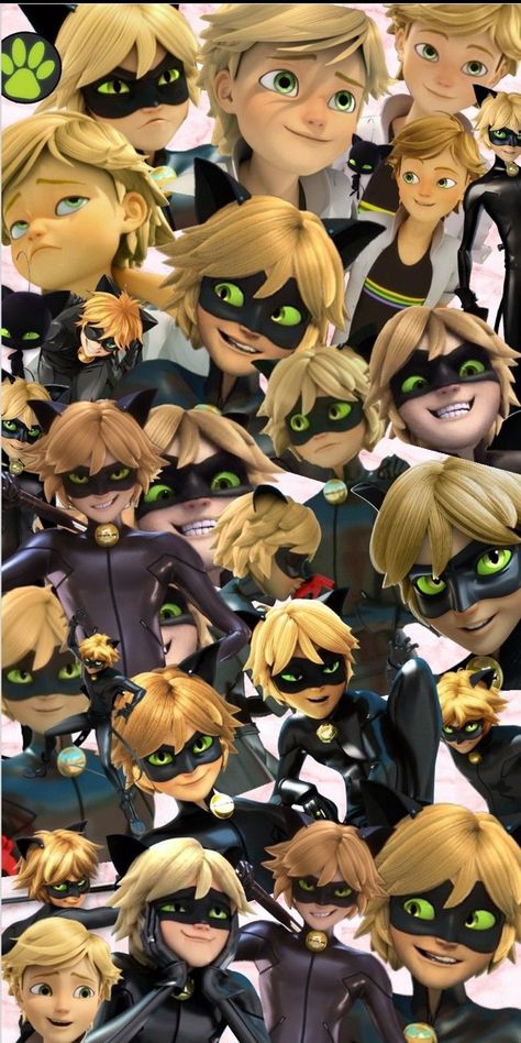 Miraculous Adrien Wallpaper, Miraculous Ladybug Collage, Chatnoir Wallpaper, Adrien Wallpaper, Chat Noir Wallpaper, Ladybug Adrien, Mlb Fan Art, Ladybug Und Cat Noir, Catnoir And Ladybug