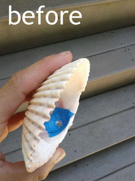 DIY seashell decor |  How to drill a hole in a seashell to make beautiful beach decor. How To Drill A Hole In Sea Shells, Drilling Holes In Shells, How To Drill Holes In Oyster Shells, How To Drill A Hole In An Oyster Shell, How To Drill A Hole In A Seashell, How To Make Holes In Shells, How To Drill Holes In Shells, Oyster Crafts, Seashell Creations