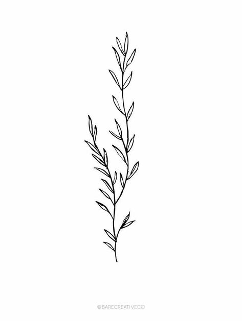 Flower Vine Tattoo, Rosemary Tattoo, Flower Vine Tattoos, Olive Branch Tattoo, Vine Drawing, Minimalist Wall Art Printable, Vine Tattoo, Penanda Buku, Branch Tattoo