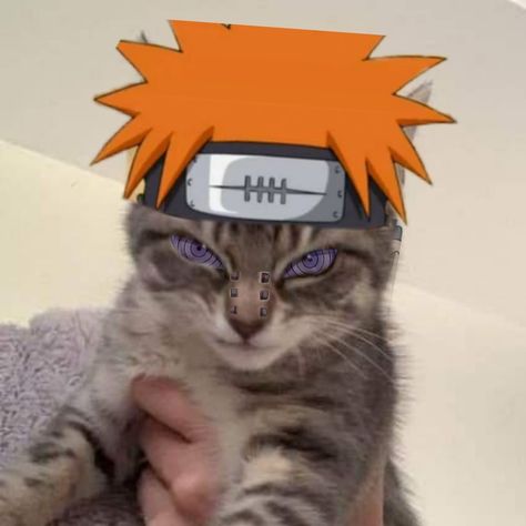 cat meme icon Naruto Halloween Pfp, Akatsuki Pfp, Cat Icon Pfp, Pain Naruto Icon, Icon Pfp Discord, Naruto Pain, Naruto Pfp, Pain Naruto, Pfp Discord