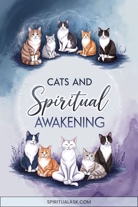 Cats are more than companions; they offer profound spiritual insights. Acting as spirit animals, they connect with energies that support personal transformation and spiritual growth. Their sensitivity aligns with sacred geometry meanings, helping to protect and guide those on a path of awakening. Dive into the sacred bond with your cat as a spiritual guide. #CatsAndSpirituality #BeingsOfLight #AnimalMeanings Animal Energy Healing, Animal Guides Spiritual, Diety Work, Cat Symbolism, Sacred Geometry Meanings, Cat Spirit Animal, Symbols Of Wisdom, Beings Of Light, Cat Energy