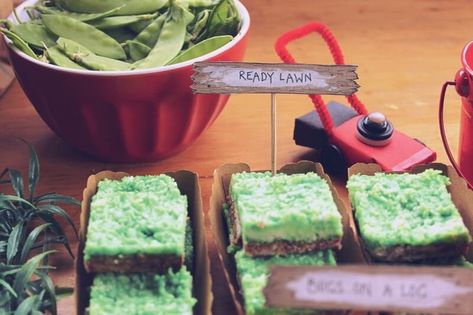 Lawnmower Birthday Party | Party Inspo | OHbaby! Lawnmower Birthday Party, Lawn Mower Birthday Party, Lawn Mower Party, Raspberry Leaf Tea Pregnancy, Kids Gardening Party, Ideas For Food, Lawn Party, Party Inspo, Baby Shower Fun