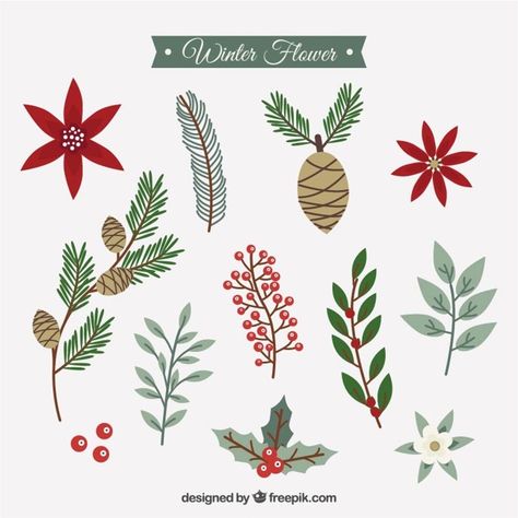 Collection of winter flowers in vintage style Free Vector Diy Note Cards, Best Flowers, Flowers Vector, Vintage Ideas, Christmas Doodles, Christmas Card Art, Watercolor Christmas Cards, Navidad Diy, Christmas Graphics