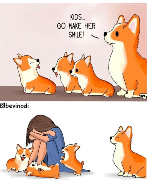 Corgi Puppies, Cute Stories, Pembroke Welsh Corgi, Cute Animal Photos, Animal Jokes, Welsh Corgi, Cute Animal Drawings, Cute Comics, Cute Creatures