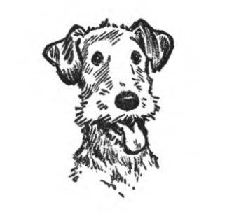 Terrier Drawing, Artwork Tattoo, Irish Terrier, 강아지 그림, Black Ink Tattoos, Arte Sketchbook, Stenciling, Dog Drawing, Tattoo Design Drawings