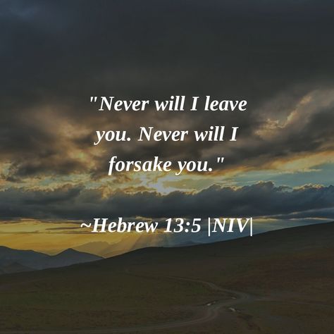 I Will Not Forsake You, Hebrew 13:5 Wallpaper, Never Will I Leave You Or Forsake You, Hebrew 13:5, I Will Never Leave You Or Forsake You, He Will Never Leave You Nor Forsake You, I’ll Never Leave You Nor Forsake You, God Will Never Leave You Nor Forsake You, I Love You In Hebrew