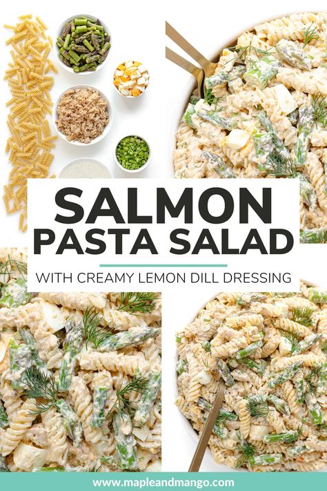 Creamy Salmon Asparagus Pasta Salad! Loaded with fresh asparagus, canned salmon (or fresh!), hard boiled eggs and pasta all tossed together in a creamy lemon dill dressing. It's absolutely delicious, easy to make and sure to become a new spring/summer favorite! This pasta salad recipe is a complete meal and satisfying all on its own but also makes the perfect side dish for summer BBQs, picnics or potlucks too! | www.mapleandmango.com Lemon Dill Dressing, Salmon Pasta Salad, Pasta Salad Salmon, Asparagus Pasta Salad, Easy Asparagus Recipes, Salmon Asparagus, Canned Salmon Recipes, Creamy Salmon, Creamy Pasta Salads