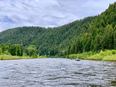 11 Best Fly Fishing Rivers In Colorado [Pro Tips For Each] Fly Fishing Colorado, Salida Colorado, Dream Water, Road Trip To Colorado, Water Time, Glenwood Springs, Continental Divide, River Fishing, Colorado River