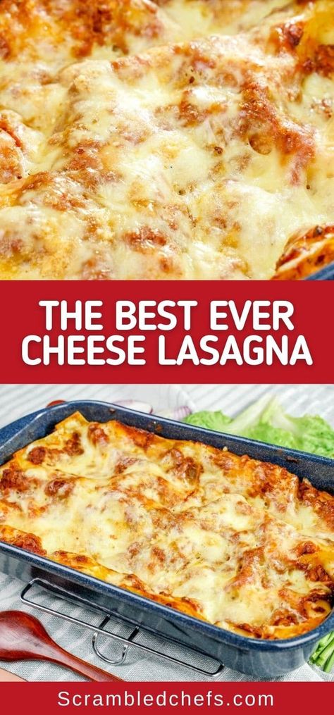 The easiest cheese lasagna recipe is ready in just an hour and has tons of flavor, cheese, and tender pasta in every bite! Cheese Lasagna Recipe No Meat Ricotta, Six Cheese Lasagna, Cheese Dough Lasagna Noodles, Cheese Lasagne Recipes, Easy Cheesy Lasagna, Lasagna Recipe Extra Cheese, Cream Cheese Lasagna Recipe, Homemade Cheese Lasagna, 7 Cheese Lasagna Recipe