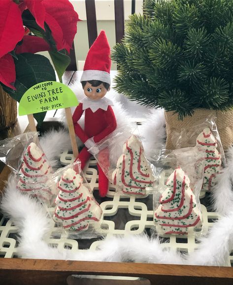 Elf On The Shelf Encanto, Elf On The Shelf In The Tree Ideas, Elf On A Shelf Tree Ideas, Elf Christmas Trees For Sale, Elf On Shelf Tree Farm, Christmas Tree Elf On The Shelf, Elf Christmas Tree Farm, Elf Tree Farm, Elf On The Shelf Tree Farm