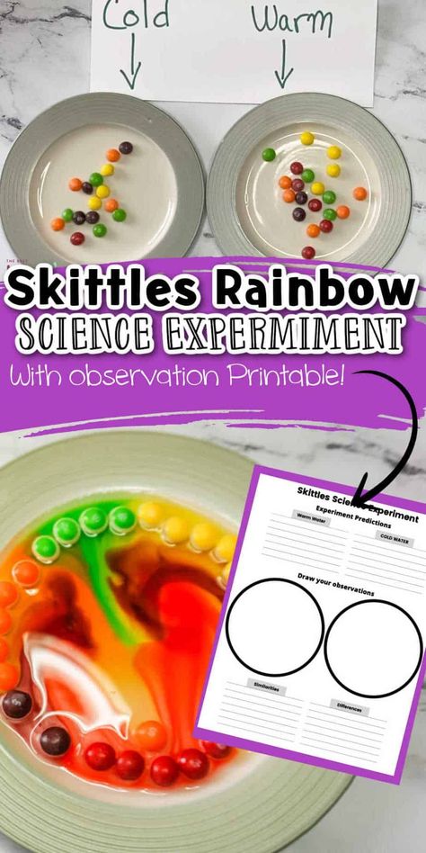 This easy skittles experiment is one that the kids will love, and while having fun they will be learning too! With this Easy Rainbow Skittles science experiment kids will learn about absorption, dissolving, and Water stratification. Rainbow Skittles Science Experiment, Skittle Science Experiment, Skittle Rainbow Experiment, Skittles Experiment For Kids, Skittles Science Fair Project, Skittle Experiment, Skittles Rainbow Experiment, Skittles Science Experiment, Skittles Science