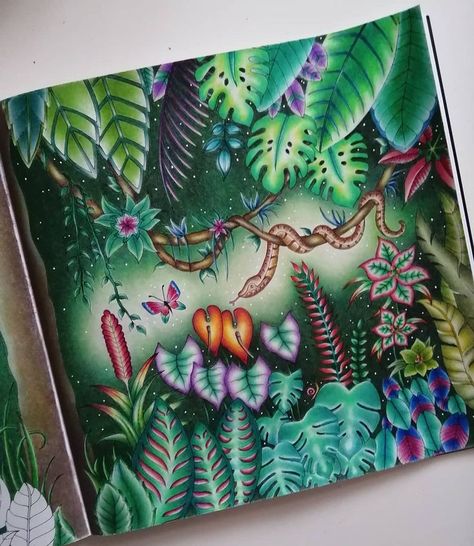 Colorist: @sophies_coloring on Instagram Illustrator: Johanna Basford Magical Jungle Johanna Basford, Joanna Basford Coloring, Magical Jungle, Johanna Basford Coloring Book, Adult Colouring Pages, Johanna Basford Coloring, Basford Coloring, In The Jungle, Johanna Basford