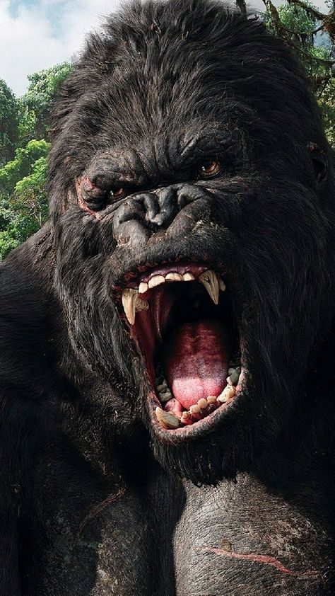 King Kong Image, Gorilla Wallpaper, King Kong 2005, King Kong Movie, Gorilla Gorilla, King Kong Art, Gorillas Art, Kong Godzilla, King Kong Vs Godzilla