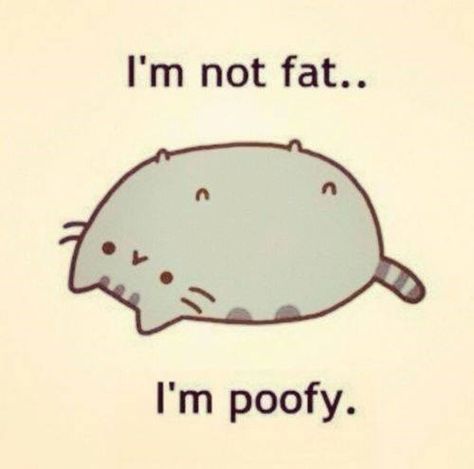 Pusheen, A Cartoon, Funny