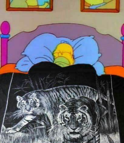 If your Hispanic you had a blanket like this Mexican Funny Memes, Hispanic Jokes, Mexican Jokes, Queer Punk, Tiger Blanket, Mexican Memes, Spanish Jokes, Mexican Humor, Funny Spanish Memes