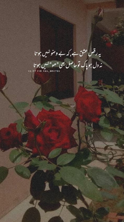 Flowers Poetry, Flower Poetry, Ishq Hai, Best Poetry, Poetry In Urdu, Image Poetry, Mens Kurta Designs, Love Quotes Photos, Flower Iphone Wallpaper