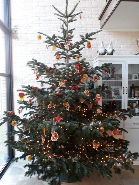 Dry Flowers Christmas Tree, Christmas Tree Dried Oranges, English Christmas Tree, Dried Flower Christmas Tree, Dried Flower Ornaments, Creative Christmas Tree Ideas, Scandinavian Christmas Tree, Diy Christmas Trees, Fraser Fir Christmas Tree