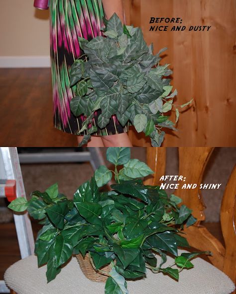 cleaning fake plants with hair spray...cheap and so much easier than dusting each individual leaf Spring Clean, Silk Plants, Cleaning Ideas, Clean Dishwasher, Simple Life Hacks, Plants And Flowers, Toilet Cleaning, Hair Spray, Household Tips