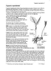 Vegetative Reproduction Reproduction In Plants, Vegetative Reproduction, Biology Resources, Botany, Biology, Education, Drawings, Plants