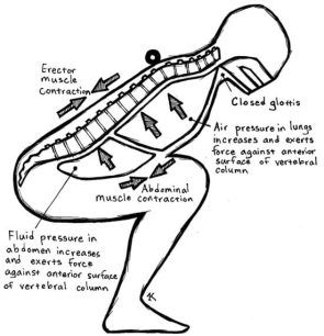 Squat Guide, Valsalva Maneuver, How To Squat Properly, Thoracic Cavity, Healing Myself, Middle Ear, Nursing Books, Exercise After Pregnancy, Heart Rhythms