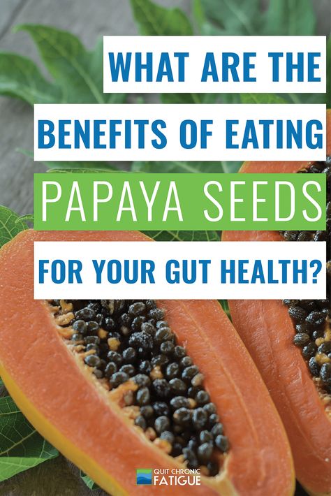 What Are The Benefits Of Eating Papaya Seeds For Your Gut Health? Papaya Seeds How To Eat, Benefits Of Eating Papaya, Papaya Health Benefits, Papaya Benefits, Health Essentials, Seeds Benefits, Papaya Seeds, Summer Diet, Healthy Microbiome