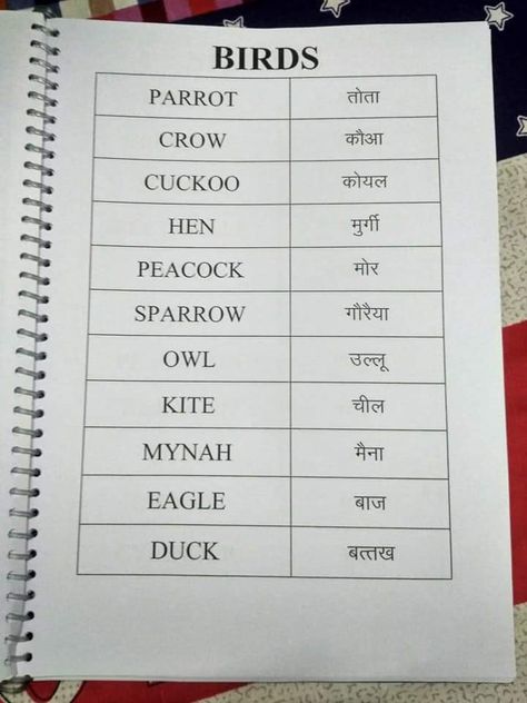 Hindi For Beginners, Basic English Grammar Book, English To Hindi, English Grammar Notes, Alphabet For Toddlers, Sms Language, Hindi Language Learning, English Grammar Book, English Activities For Kids