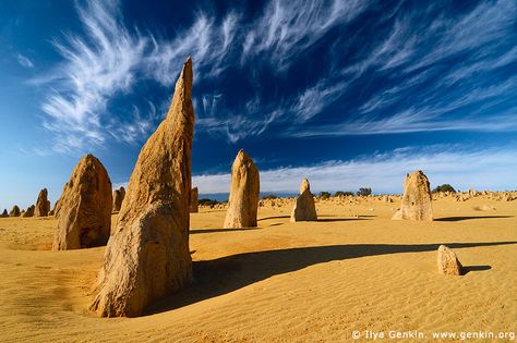 The Pinnacles, Nambung National Park, WA, Australia. Pinnacles Desert, Nambung National Park, Wa Australia, Pinnacles National Park, Australia Tourism, Socotra, California Camping, Kings Park, Perth Australia