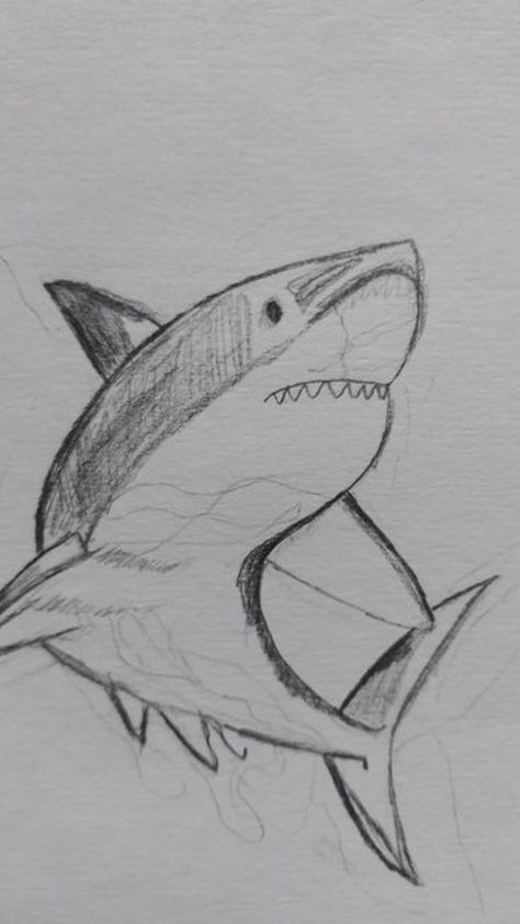 Sketches Sea Creatures, Cute Aquatic Animals Drawings, Aesthetic Shark Drawing, Cute Shark Sketch, Marine Animals Sketch, Shark Sketch Easy, Drawing Ideas Ocean Animals, Aquatic Sketches, Aquatic Life Drawing