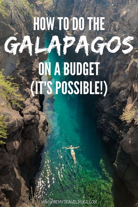 Galapagos Islands Travel, South America Destinations, Ecuador Travel, Budget Travel Destinations, Vacation Deals, Galapagos Islands, Destination Voyage, Budget Travel Tips, Vacation Pictures