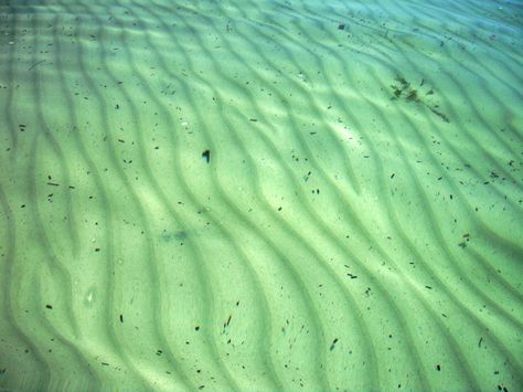 Open Ocean Underwater, Rippled Water, Sand Floor, Clear Ocean, Ocean Underwater, Sea Floor, Beach Weather, Ocean Floor, Open Ocean