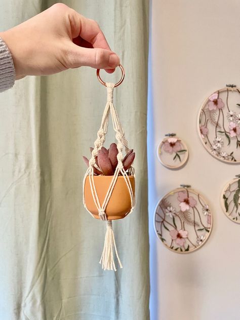 Car Plant Hanger, Small Plant Hanger, Small Macrame Plant Hanger, Mini Macrame Plant Hanger, Plant Ladder, Hanging Ladder, Macrame Hanging Shelf, Manhattan Ks, Simple Macrame