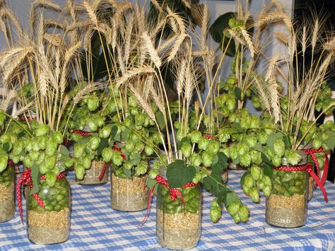 Centerpieces......Hops and wheat make a nice arrangement.....the jars are filled with grains and fresh hops. Hops Decor, Oktoberfest Table Decorations, Brewery Wedding Reception, Oktoberfest Table, Hops Wedding, Brewery Interior, Wheat Centerpieces, Hops Vine, Wheat Wedding