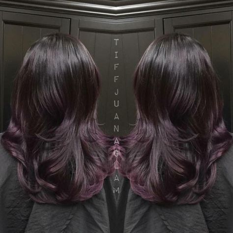 Hair Color How To: Black Cherry by Tiffany Galaviz Black Hair Violet Highlights, Brown With Plum Highlights, Tinted Dark Hair, Eggplant Highlights On Dark Hair, Black Cherry Hair Color Dark, Black Violet Hair, Black Cherry Balayage, Blackberry Hair Color Dark, Violet Black Hair Color