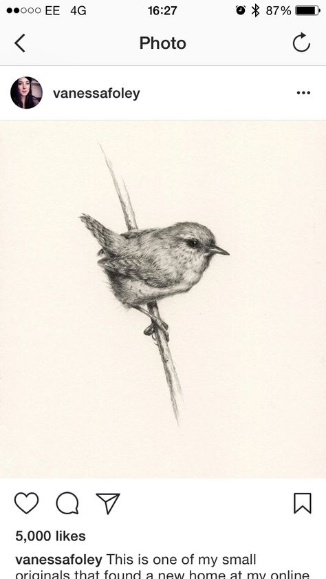 Wren Line Tattoo, Wren Flying Tattoo, Botanical Bird Tattoo, Jenny Wren Tattoo, Wren Tattoo Small, Wren Tattoo Design, Fairy Wren Tattoo, Carolina Wren Tattoo, Warbler Tattoo