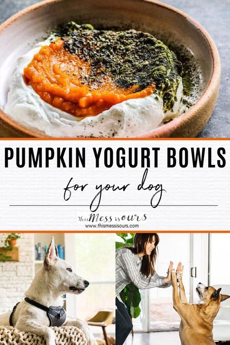 Breakfast is the most important meal of the day for all of us, even our dogs! Get your dog’s day off to a great start by feeding him/her a delicious Pumpkin and Yogurt Bowl for Dogs in the morning. These yogurt bowls are filled with good for your #dog ingredients like plain, fat free Greek yogurt, 100% pure pumpkin puree, plant based vitamin and mineral powder, and my Homemade #DogFood Seasoning which is a blend of 5 herbs that have extraordinary health benefits for your dog! #thismessisours Breakfast For Dogs Homemade, Breakfast Ideas For Dogs, Dog Breakfast Recipes, Greek Yogurt For Dogs, Breakfast For Dogs, Oatmeal For Dogs, Pumpkin For Dogs, Puppy Recipes, Yogurt For Dogs